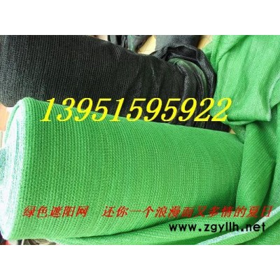 法國冬青（珊瑚、法青）的用途及價格行情