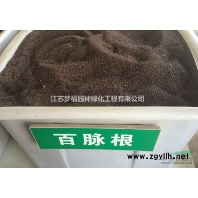 江蘇[產品]/江蘇大花六道木4價格/報價