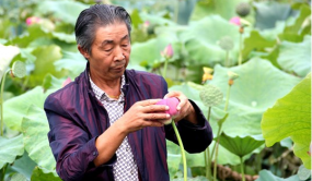 荷花大王陶德均：三十年執(zhí)著追求 只為荷花花開盛世春色滿園