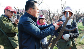 宏順梅花獲山東省博士后創(chuàng)新實(shí)踐基地認(rèn)定
