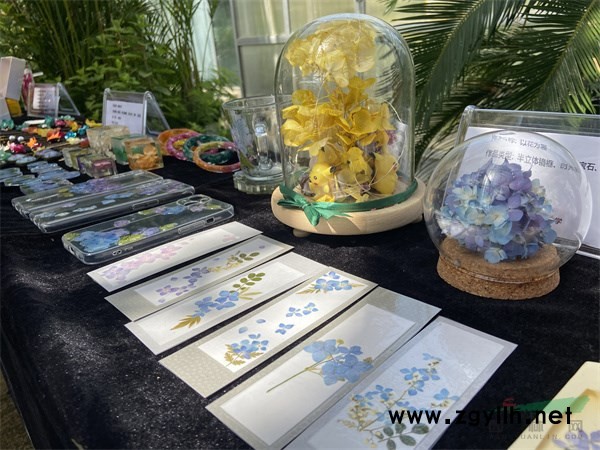 現場展示的繡球花加工產品 - 復件.jpg