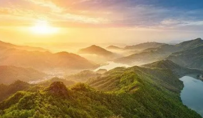 安徽霍山：森林資源豐富 林下經(jīng)濟(jì)蓬勃發(fā)展