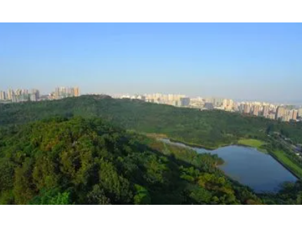 重慶市林業(yè)局會同重慶市生態(tài)環(huán)境局召開自然保護(hù)地問題整改現(xiàn)場核查情況匯報(bào)會